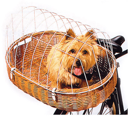 Aumüller Tiere Weide Maxi 66 x 48 - Aumüller