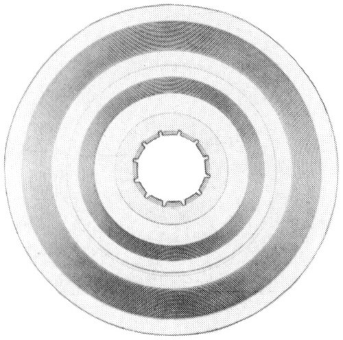 Westphal Speichenschutzscheibe - Westphal